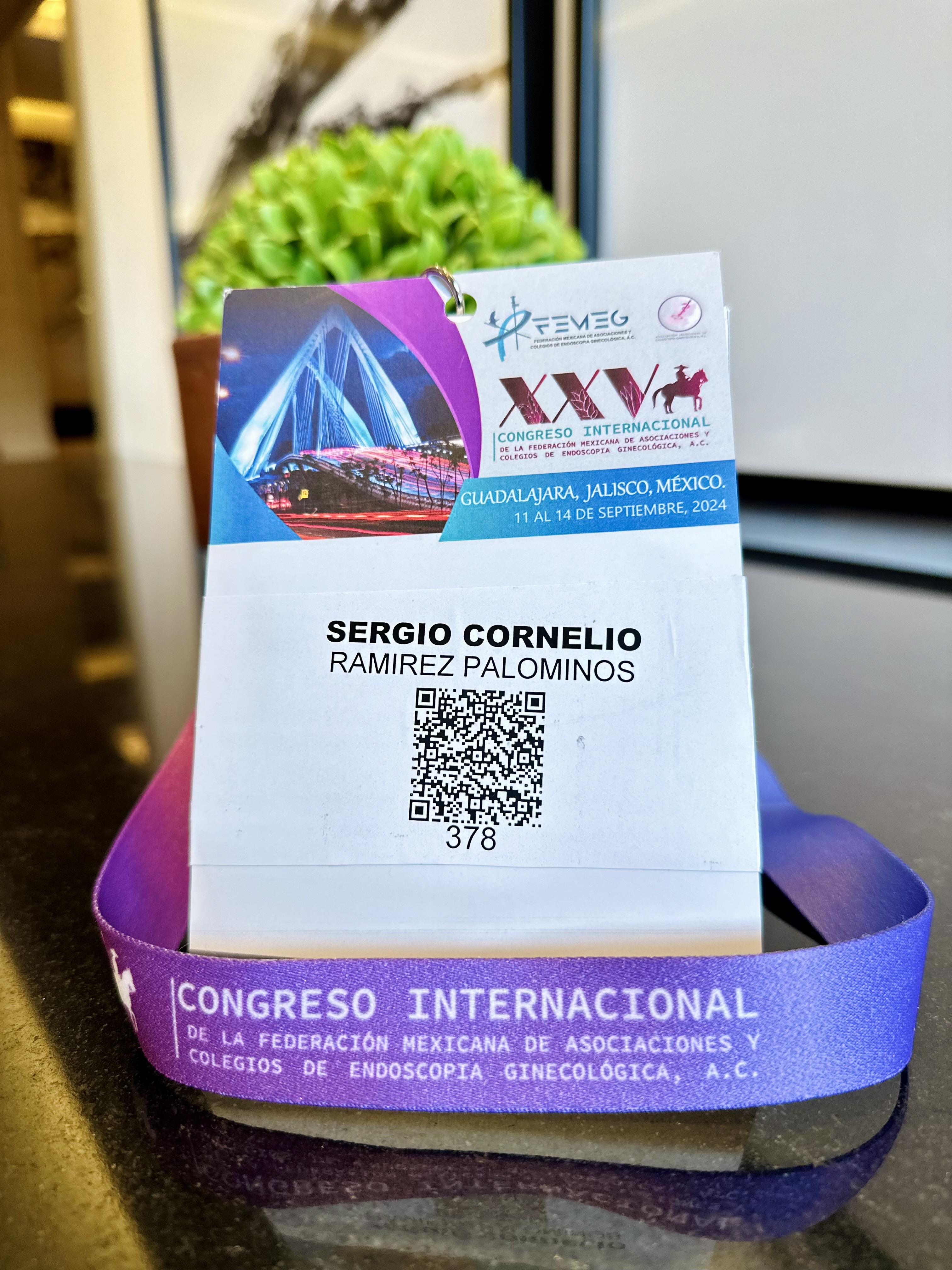 XXV Congreso Internacional FEMEG